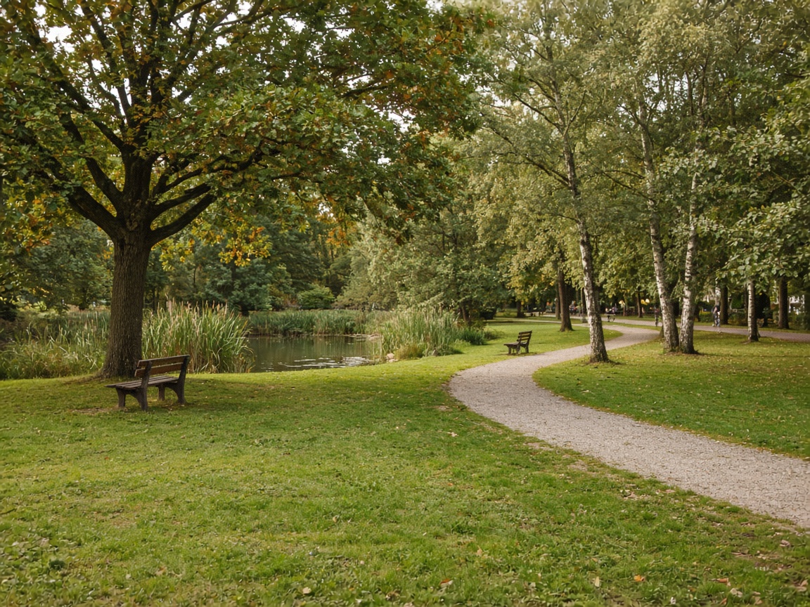 Een Nederlands park, waar Karma Yoga bij Happy Yogi plaatsvindt